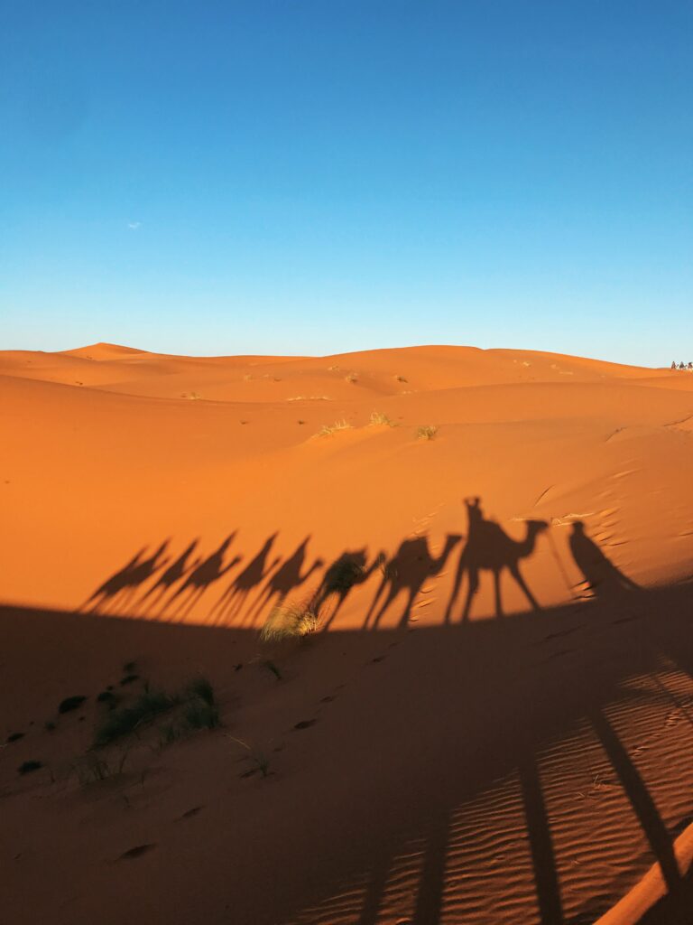 Sahara desierto