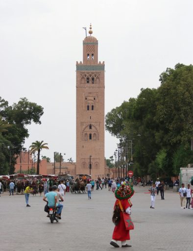 Tours from Marrakech