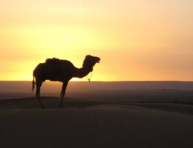 10 dias en marruecos