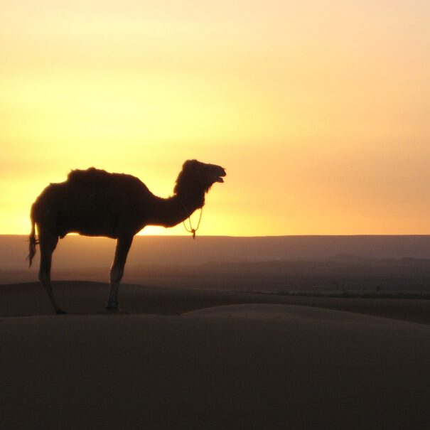 10 dias en marruecos